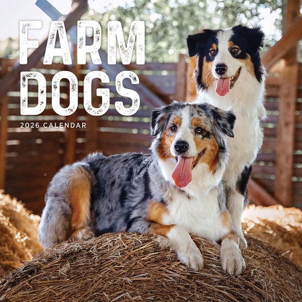 Farm Dogs 2026 Calendar Cover