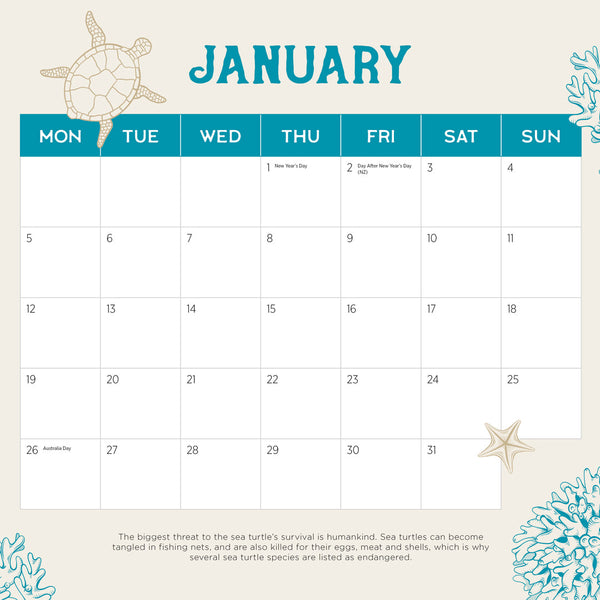 Sea Turtles 2026 Calendar January
