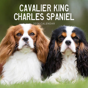 2024 Cavalier King Charles Spaniel Calendar – Cover Image