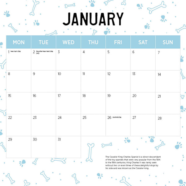 2024 Cavalier King Charles Spaniel Calendar – Month Overview