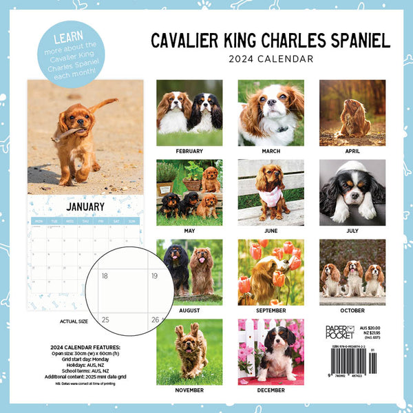 2024 Cavalier King Charles Spaniel Calendar – Back Cover