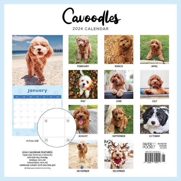 2024 Cavoodle Calendar – Back Cover