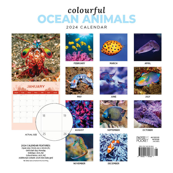 2024 Colourful Ocean Animals Calendar – Back Cover