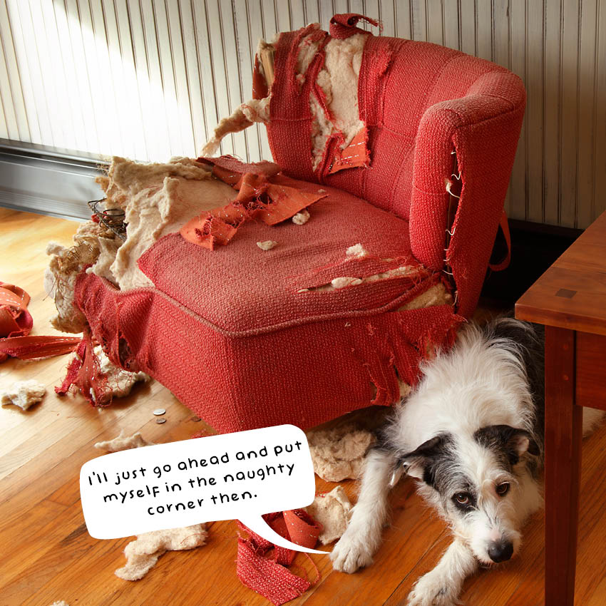 2024 Guilty Dogs Calendar Paper Pocket