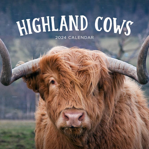 2024 Highland Cows Calendar – Cover Image
