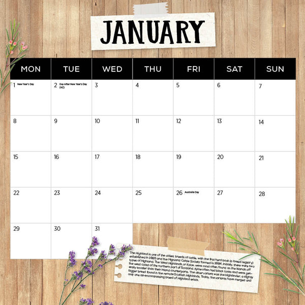 2024 Highland Cows Calendar – Month Overview