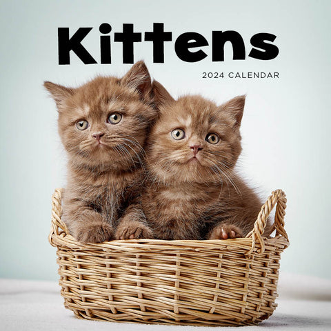 2024 Kittens Calendar – Cover Image
