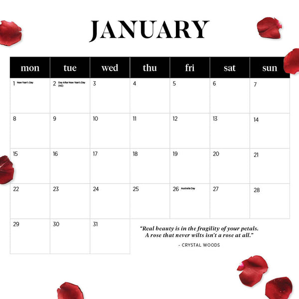 2024 Our Australia Roses Calendar – Month Overview
