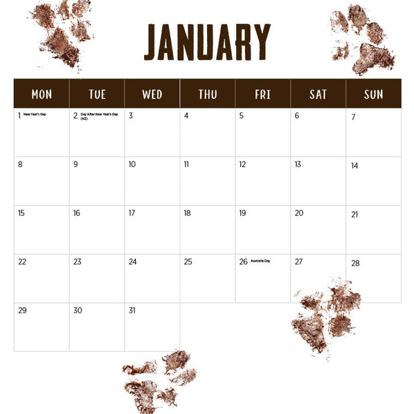 2024 Our Australia Working Dogs Calendar – Month Overview