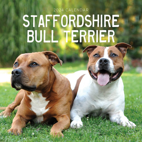 2024 Staffordshire Bull Terriers Calendar – Cover Image