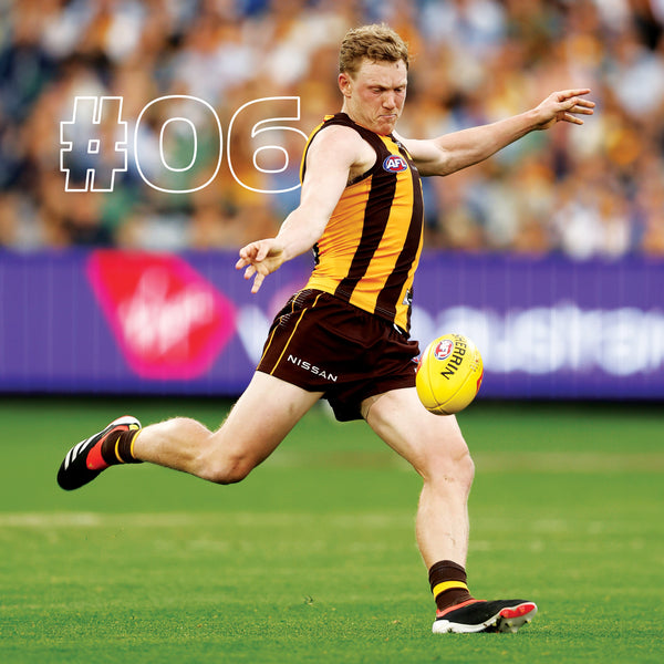 AFL Hawthorn Hawks Calendar 2025 Internal Image