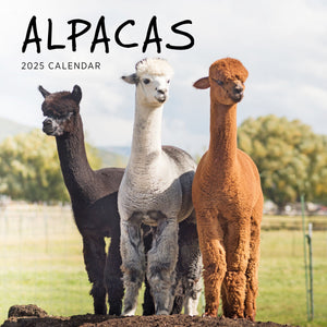 Alpacas Calendar 2025 Cover