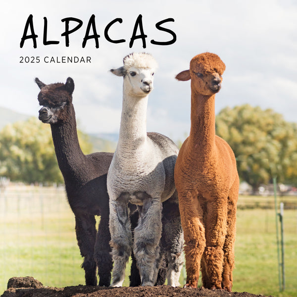 Alpacas Calendar 2025 Cover