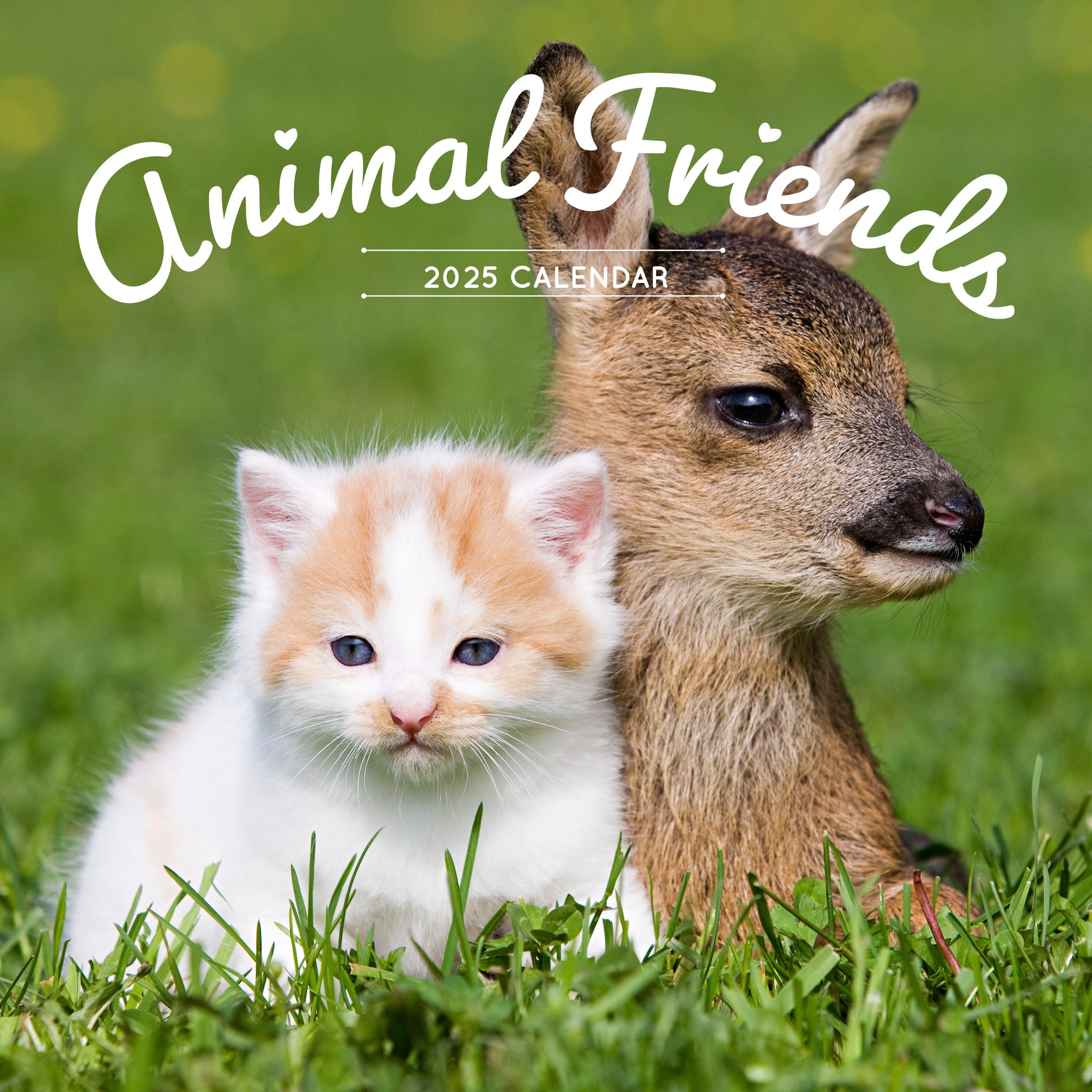 Animal Friends Calendar 2025 Cover