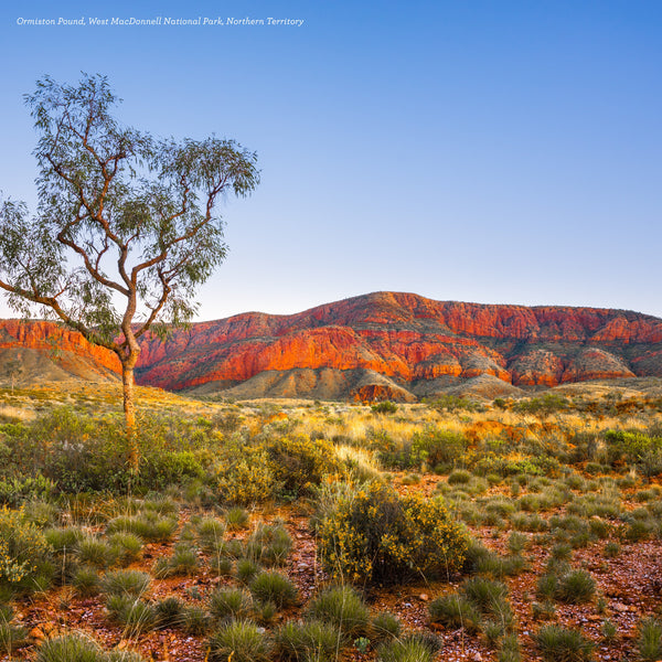 Australia's Raw Beauty Calendar 2025 Internal Image