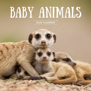 Baby Animals Calendar 2025 Cover
