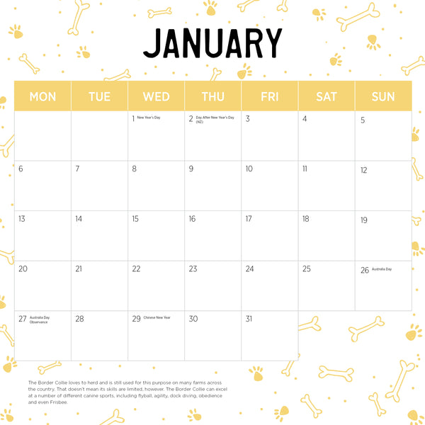 Border Collies Calendar 2025 January