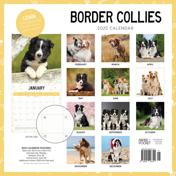 Border Collies Calendar 2025 Monthly Overview