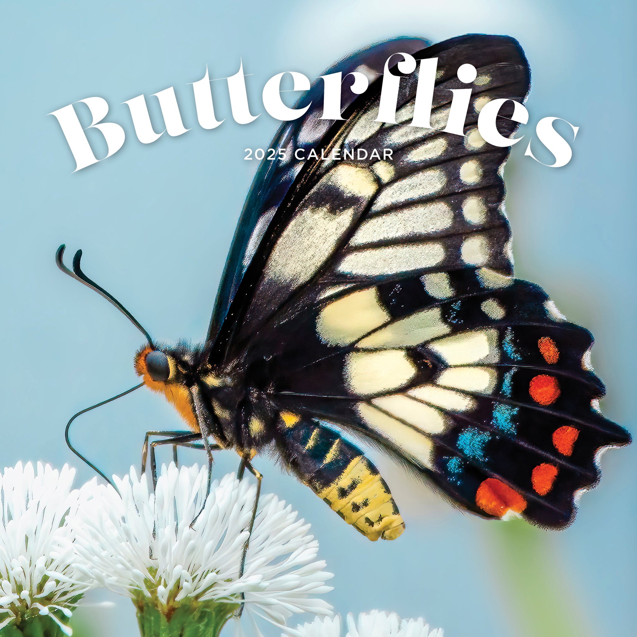 Butterflies Calendar 2025 Cover