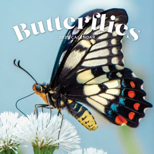 Butterflies Calendar 2025 Cover