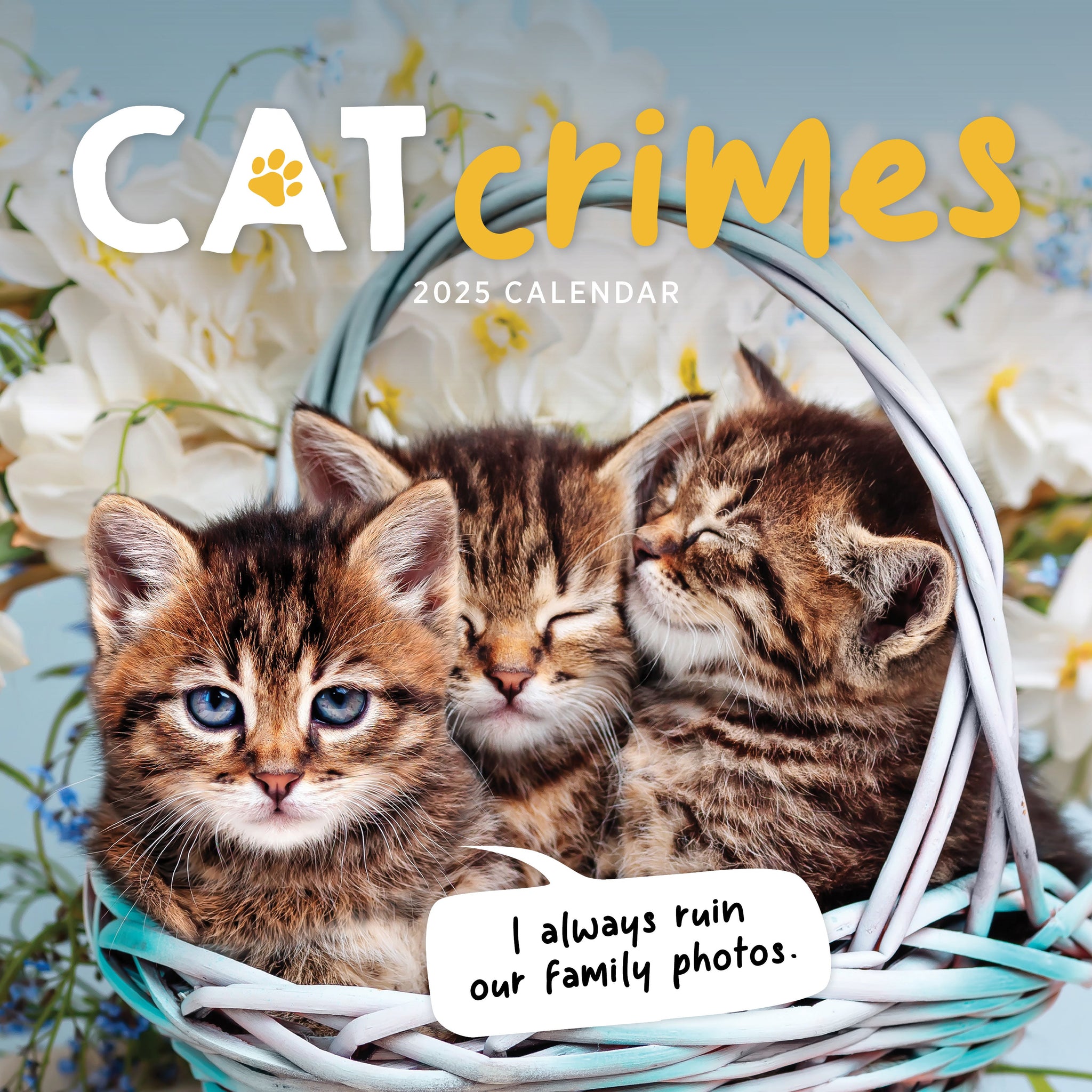Cat Crimes Calendar 2025 Cover