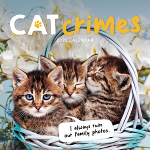 Cat Crimes Calendar 2025 Cover