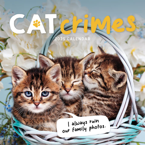 Cat Crimes Calendar 2025 Cover