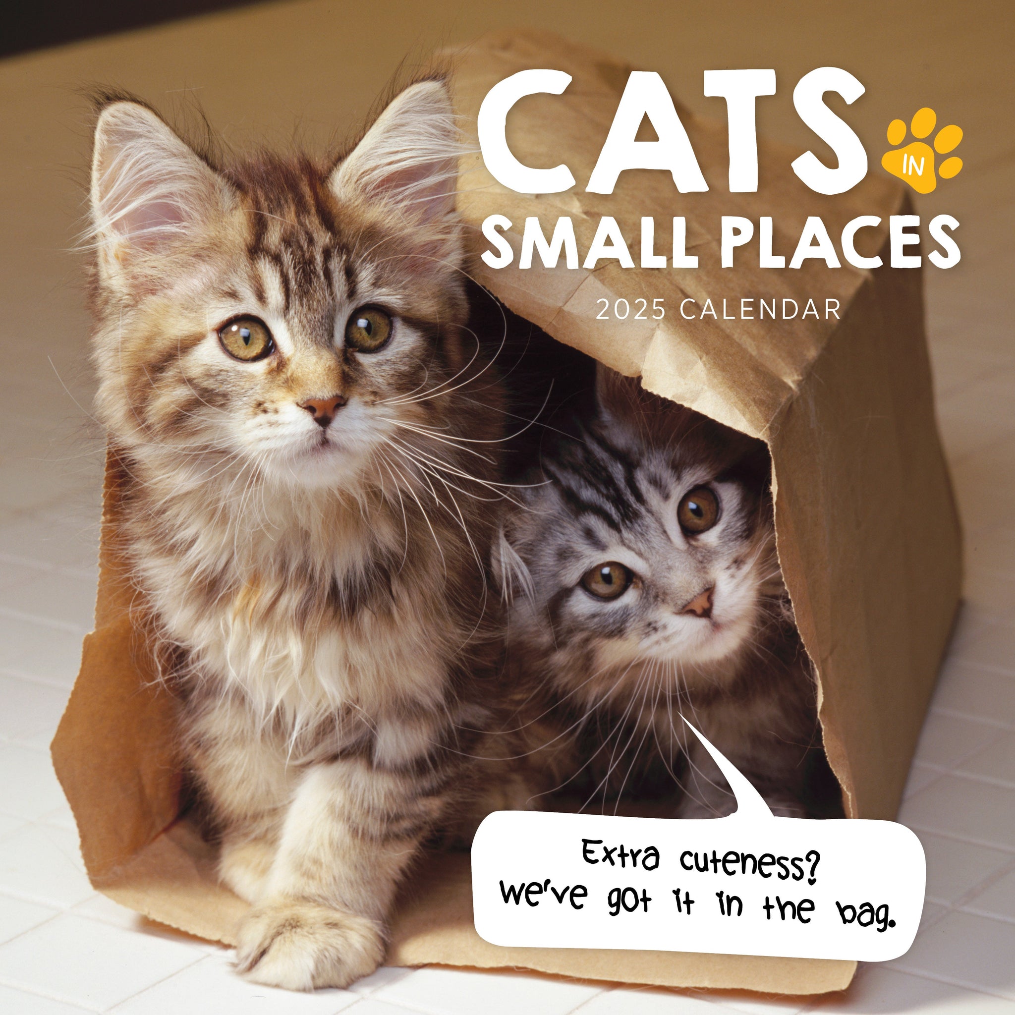 Cats in Small Places Calendar 2025 Cover