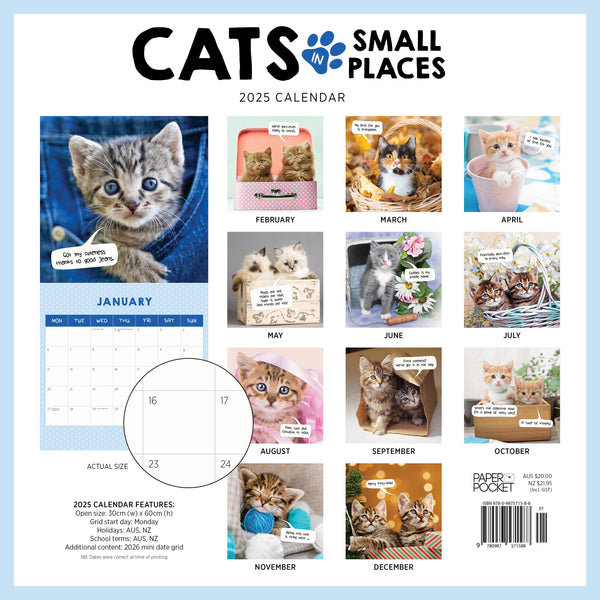 Cats in Small Places Calendar 2025 Monthly Overview