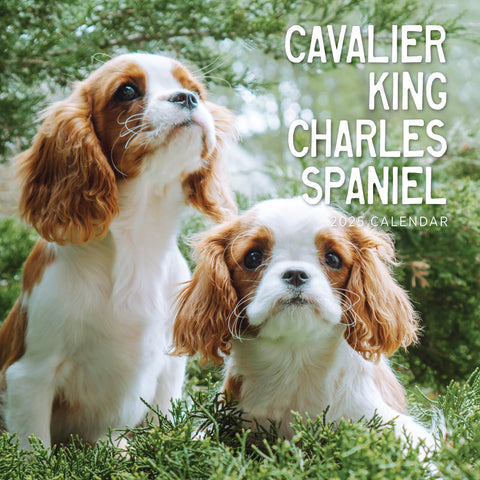 Cavaliers King Charles Calendar 2025 Cover