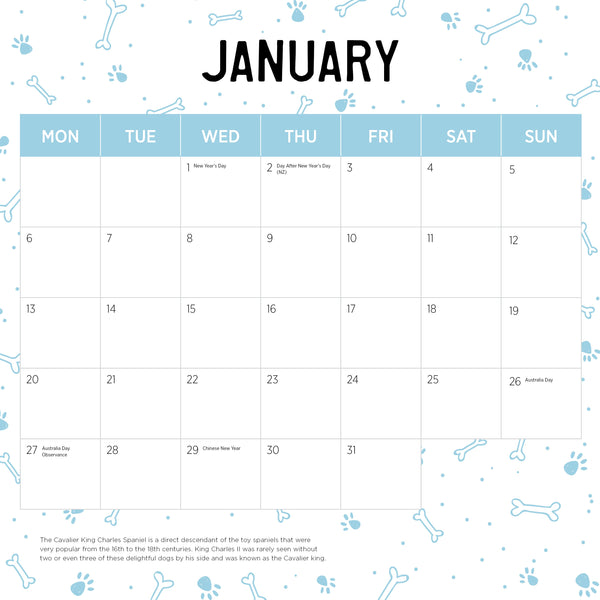 Cavaliers King Charles Calendar 2025 January