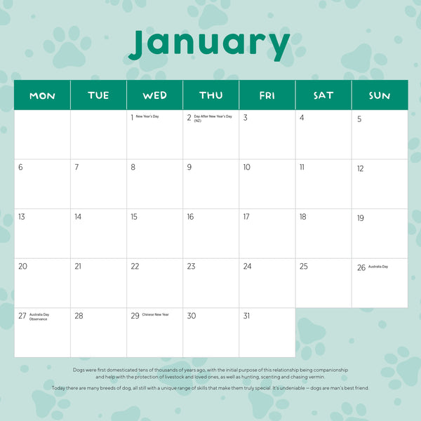 Cavoodles Calendar 2025 January