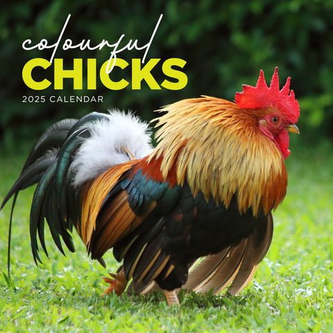 Colourful Chicks Calendar 2025 Cover