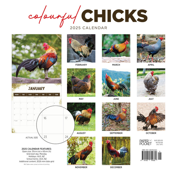 Colourful Chicks Calendar 2025 Monthly Overview