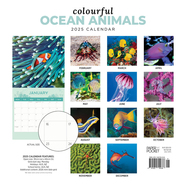 Colourful Ocean Animals Calendar 2025 Monthly Overview