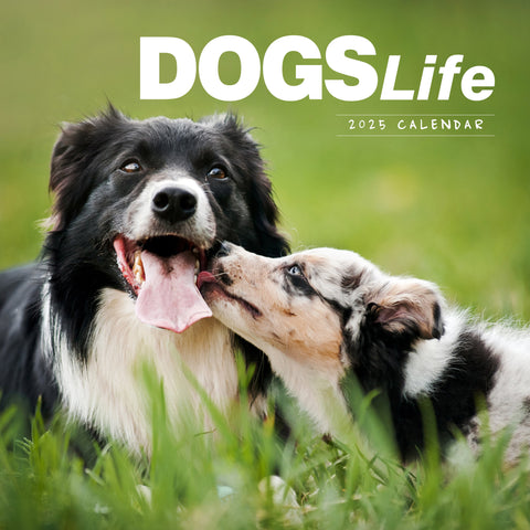 Dogs Life Calendar 2025 Cover