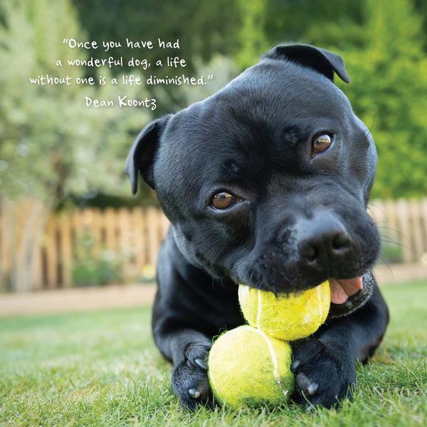 Dogs Life Calendar 2025 Internal Image