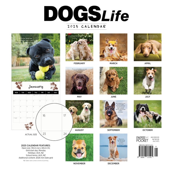 Dogs Life Calendar 2025 Monthly Overview