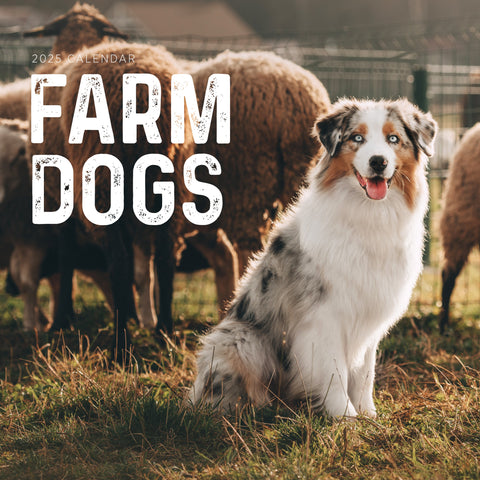 Farm Dogs Calendar 2025 Cover