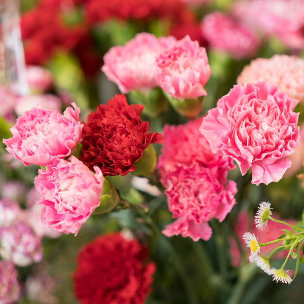 Flower of the Month Calendar 2025 Internal Image