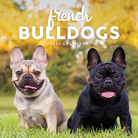 French Bulldogs Calendar 2025 Cover