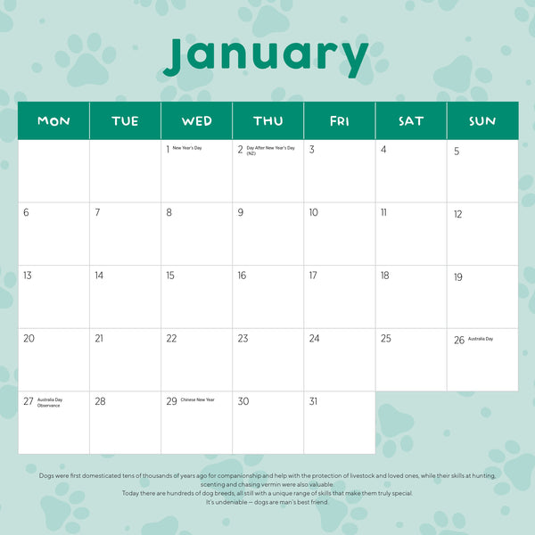 French Bulldogs Calendar 2025 January