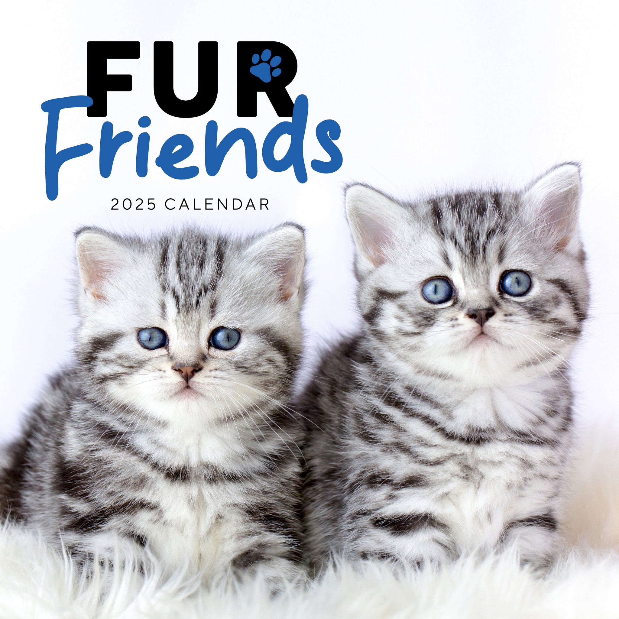Fur Friends Calendar 2025 Cover