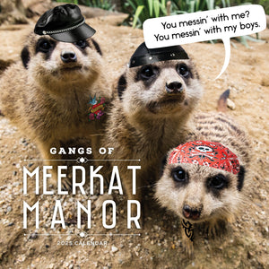 Gangs of Meerkat Manor Calendar 2025 Cover