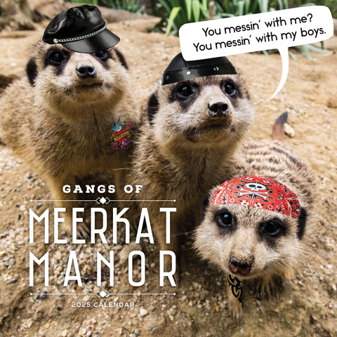 Gangs of Meerkat Manor Calendar 2025 Cover