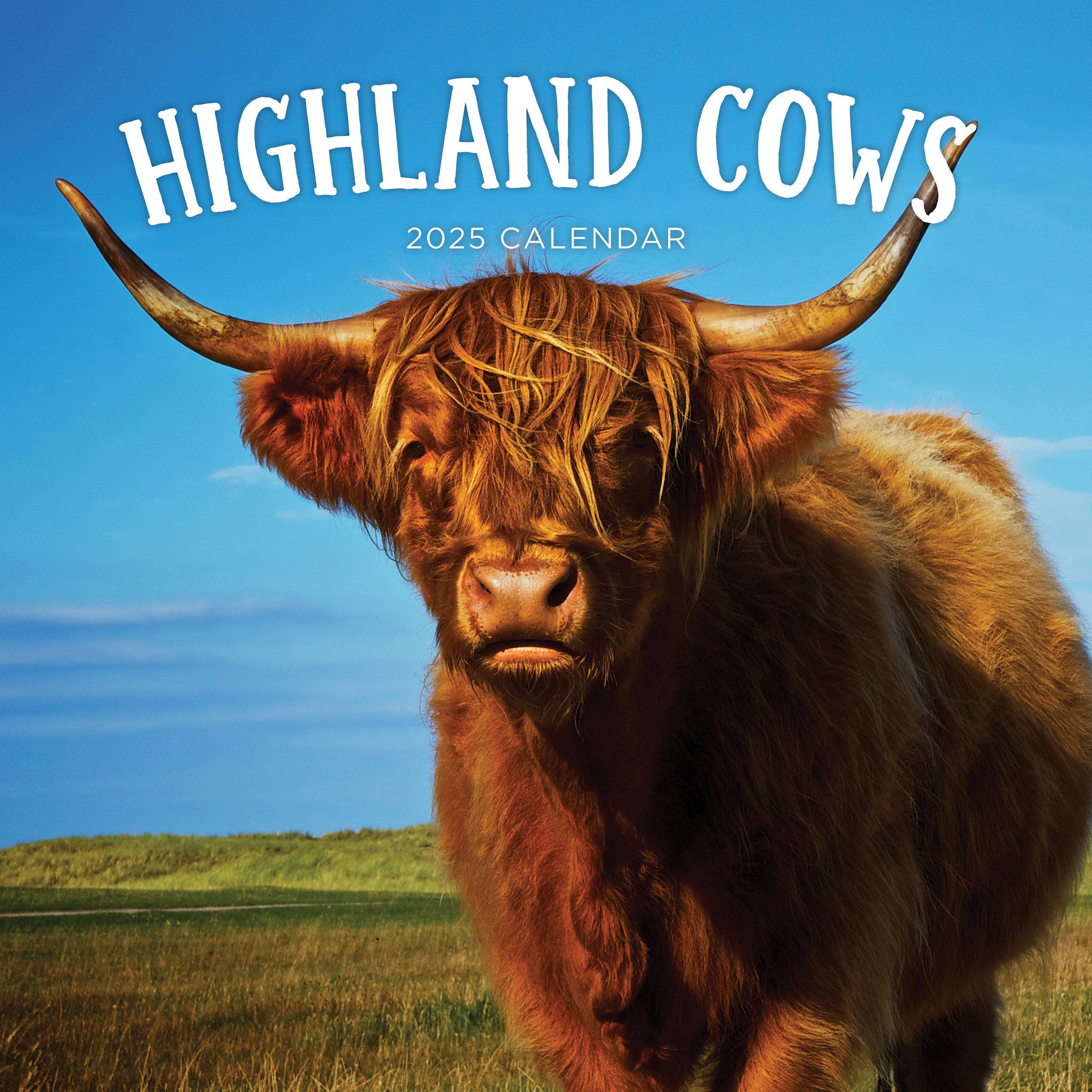Highland Cows Calendar 2025 Cover