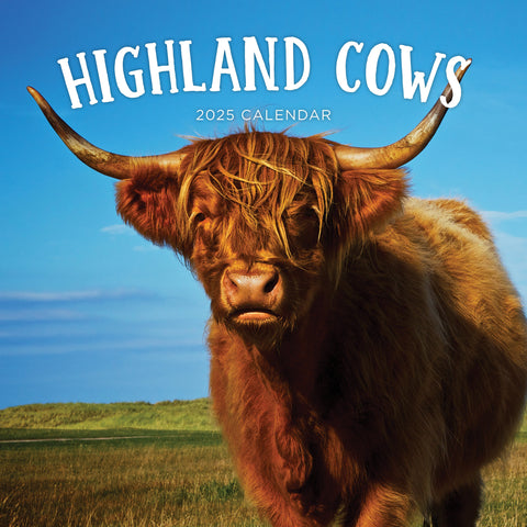 Highland Cows Calendar 2025 Cover