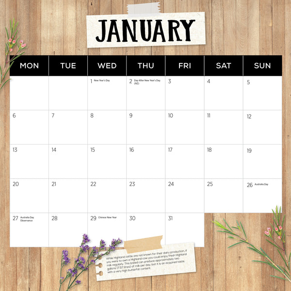 Highland Cows Calendar 2025 January