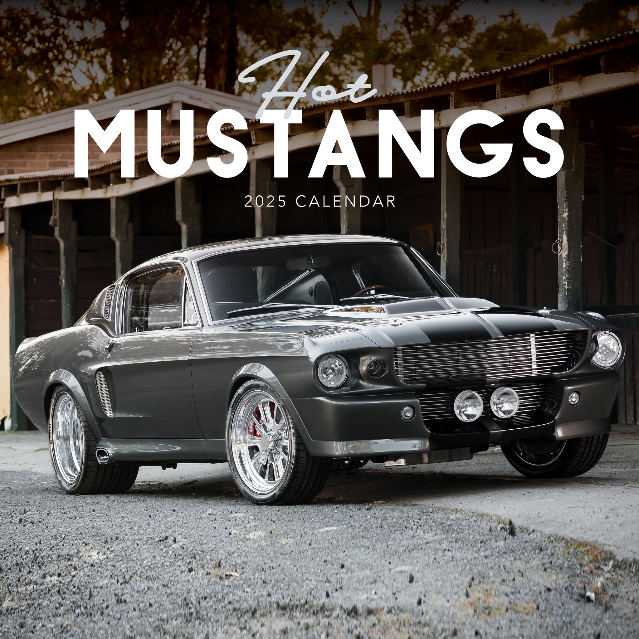 Hot Mustangs Calendar 2025 Cover