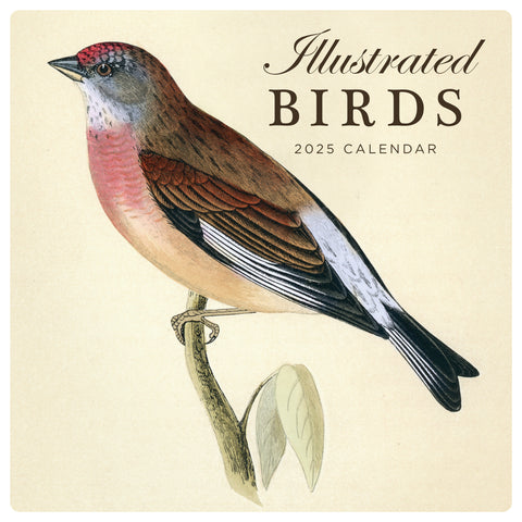 Illustrated Birds Calendar 2025 Cover
